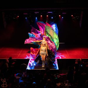 Rainbow wings Rainbow wings